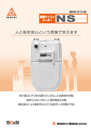 汎用ガスメーター NS