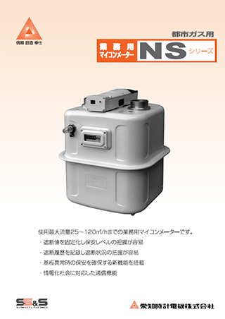 汎用ガスメーター NS（大型業務用）